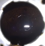 16042010766.jpg
