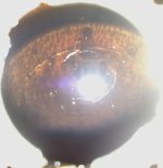 16042010765.jpg