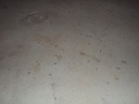 DSC02462.jpg