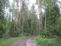 IMG_1863.jpg