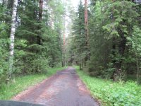 IMG_1865.jpg