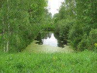 IMG_1901.jpg