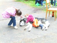 PICT0572_измен.размер.JPG