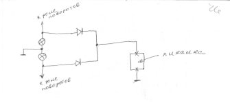 Image-02.jpg
