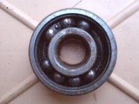 DSC00492.jpg