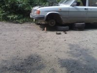 20100808821.jpg