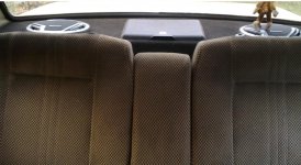 09082010211.jpg