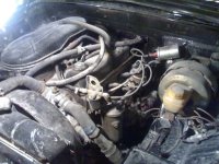 20100815930.jpg