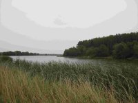 Resize of IMG_2242.jpg