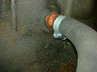 03092010071.jpg