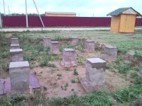 SNC00049.jpg
