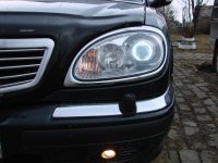 DSC01135.1.JPG