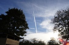DSC00483.JPG