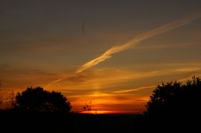 DSC00510.JPG
