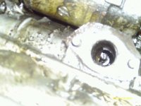 user31391_pic13872_1287594174.jpg