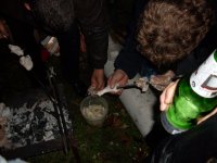 SDC10089.jpg