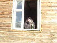 IMG_2341_thumb.jpg