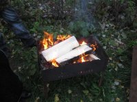 IMG_2377_thumb.jpg