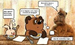 волговод.JPG