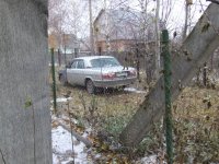3736.JPG