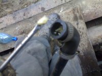 29102010071.jpg