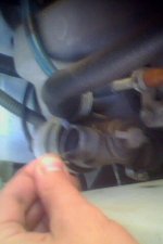 IMG0135A.jpg