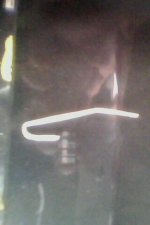 IMG0138A.jpg