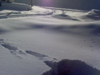 DSC00049.JPG