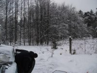 DSCF2313.jpg