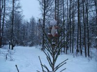 DSCF2331.jpg