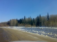 190220111046.jpg