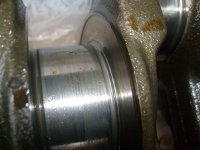 S6302648.JPG