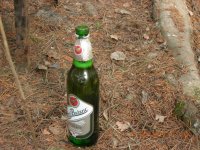 DSCN9514.jpg