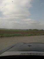 верблюды1.jpg