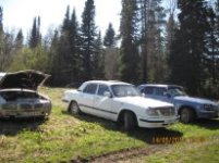 IMG_0479.jpg