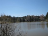 IMG_1625.jpg