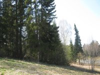 IMG_1650.jpg