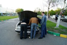 DSC00310.jpg