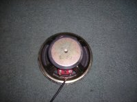 DSCN4533.JPG