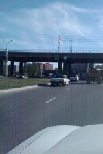 IMAG0375.jpg