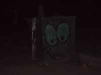 Resize of DSC00384.JPG