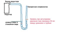 12345.jpg