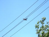 DSCF4578.JPG