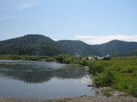 IMG_0274.jpg