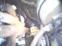 IMG0159A.jpg