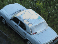IMG_1196.gif