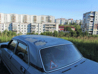 IMG_1202.gif