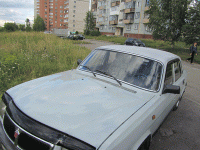 IMG_1217.gif