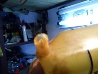 DSC00178.jpg