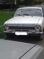 птф на белой.jpg